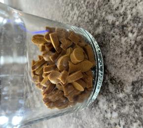 Homemade Dog Treats (Peanut Butter and Pumpkin) Photo