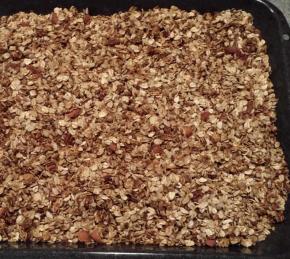 Homemade Granola Cereal Photo