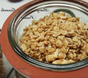 Honey Peanut Granola Photo