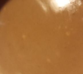 Easiest Brown Gravy Ever Photo