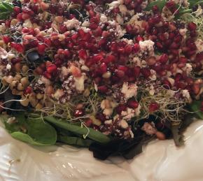 Spinach Pomegranate Salad Photo