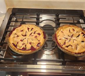 Blackberry Pie Photo