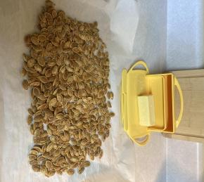 Roasted Pumpkin Seeds Photo