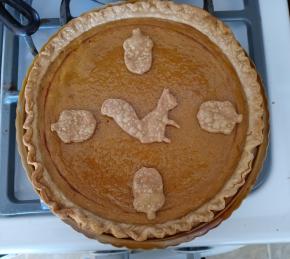 Homemade Fresh Pumpkin Pie Photo