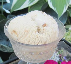 Maple Walnut Ice Cream Photo