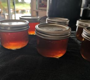 Dandelion Jelly Photo