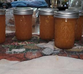 Nectarine Jam Photo