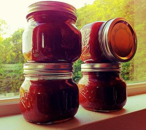 Easy Apple Rhubarb Jam Photo