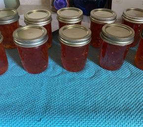 Red and Green Christmas Jalapeno Jelly Photo