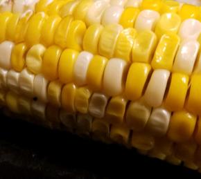 Microwave Corn on the Cob Photo