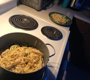 Chicken and Broccoli Alfredo Photo