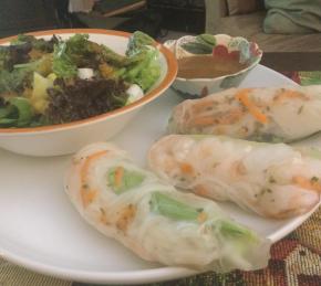 Vietnamese Fresh Spring Rolls Photo