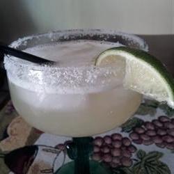 Top Shelf Margaritas on the Rocks Photo