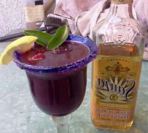 Purple and Gold Margarita Photo