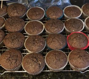 Chocolate Zucchini Muffins Photo