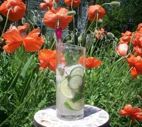 Mint-Cucumber Mojitos Photo