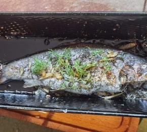 Baked Fresh Rainbow Trout Photo