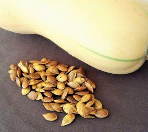 Roasted Winter Squash Seeds Photo