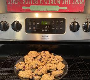 Blueberry Oatmeal Cookies Photo