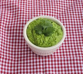 Cilantro Jalapeno Pesto with Lime Photo