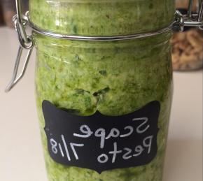 Rudy's Garlic Scape Pesto Photo