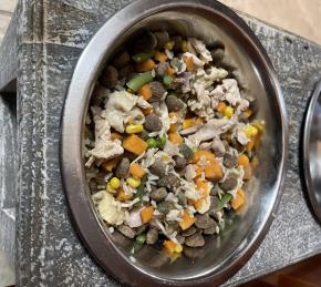 Homemade Dog Food Photo