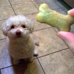 Meaty Homemade Dog Treats Photo