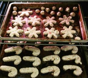 Brie's Turkey and Cranberry Dog Bones Photo