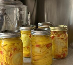 Pickled Squash Photo