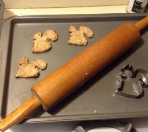 Dog Biscuits I Photo