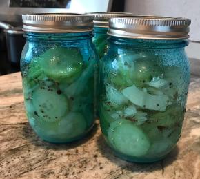 Mona's Easy Refrigerator Pickles Photo