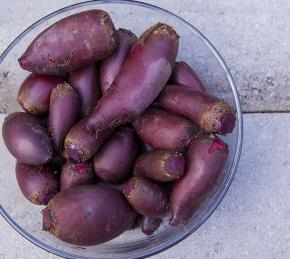 Raw Fermented Beets Photo