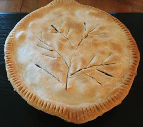 Beef Pot Pie Photo