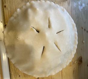 Venison Pot Pie Photo