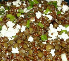 Cranberry Lentil and Quinoa Salad Photo