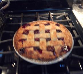 Cherry Rhubarb Pie Photo