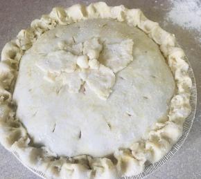 Saskatoon (Serviceberry) Rhubarb Pie Photo