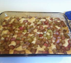 Rhubarb Pudding Photo