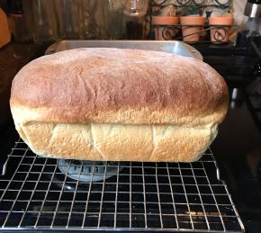 Buttermilk Honey Wheat Bread Photo