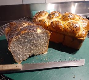 Honey Whole Wheat Challah Photo