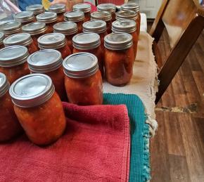 The Best Canning Salsa Photo