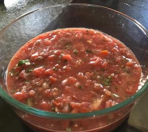 Garden Tomato Salsa Photo