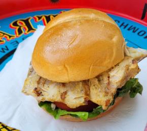 Grilled Rockfish Sandwich Photo