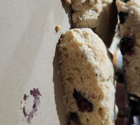 Blueberry Scones Photo