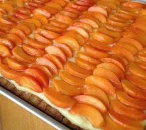 Tieton Apricot Tart with Basil Custard Photo