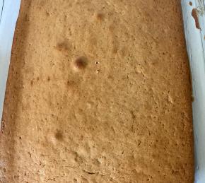 Moist, Tender Spice Cake Photo