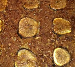 Glazed Fig Cake Photo