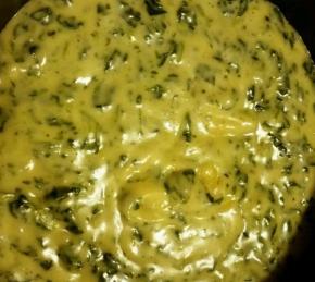 Cheesy Beer and Spinach Dip Photo