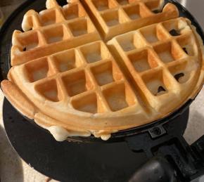 Waffles II Photo