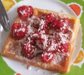 Rich Yogurt Waffles Photo